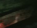 上海小吃