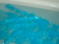 世界初水の上に乗る！