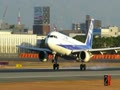ANA AirbusA320 RWY32L Landing---JA8391